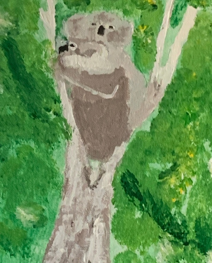 Koala